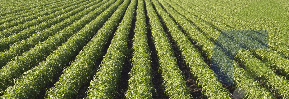 Agriculture Solutions